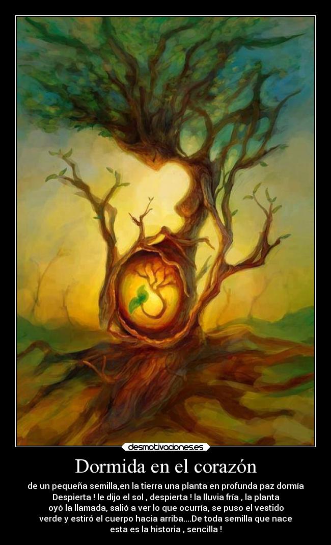 Dormida en el corazón - de un pequeña semilla,en la tierra una planta en profunda paz dormía
Despierta ! le dijo el sol , despierta ! la lluvia fría , la planta
oyó la llamada, salió a ver lo que ocurría, se puso el vestido
verde y estiró el cuerpo hacia arriba....De toda semilla que nace
esta es la historia , sencilla !