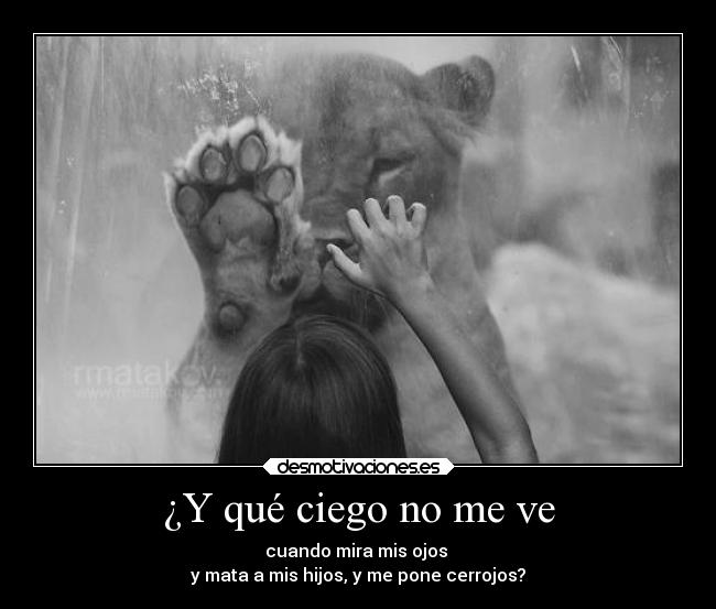 ¿Y qué ciego no me ve - 