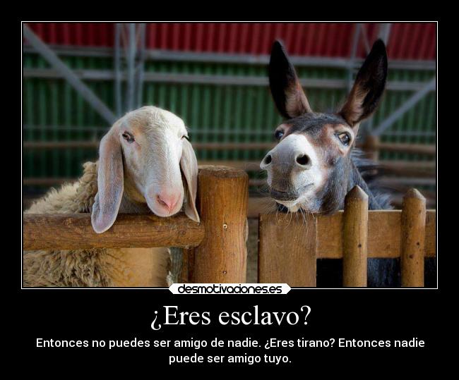 ¿Eres esclavo? - Entonces no puedes ser amigo de nadie. ¿Eres tirano? Entonces nadie
puede ser amigo tuyo.