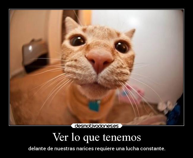 Ver lo que tenemos - 