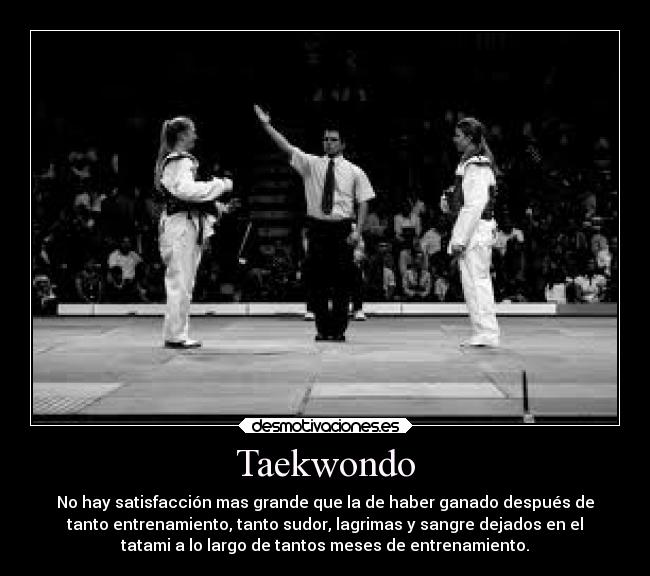 Taekwondo -