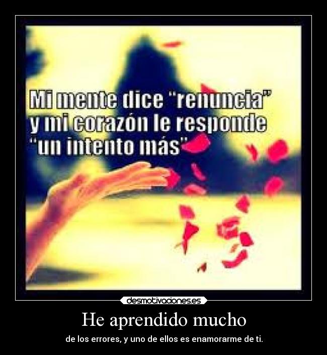 He aprendido mucho -