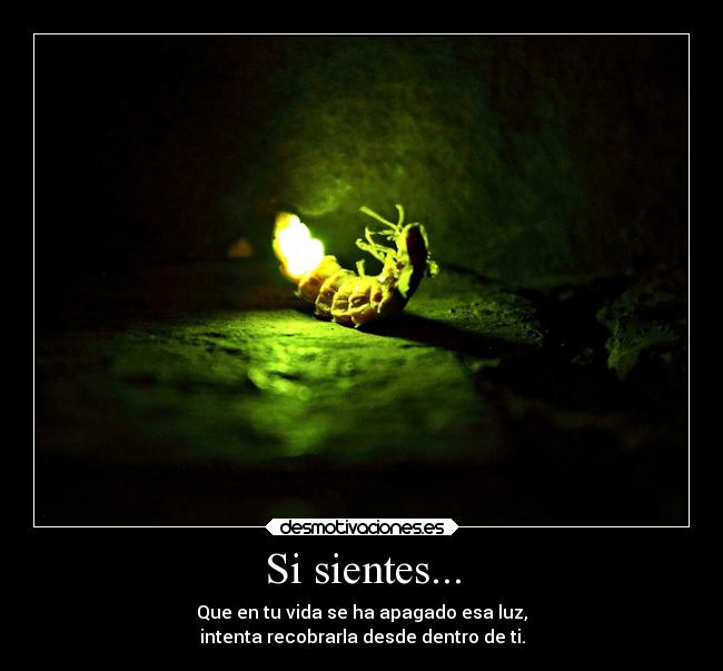 Si sientes... - Que en tu vida se ha apagado esa luz,
intenta recobrarla desde dentro de ti.