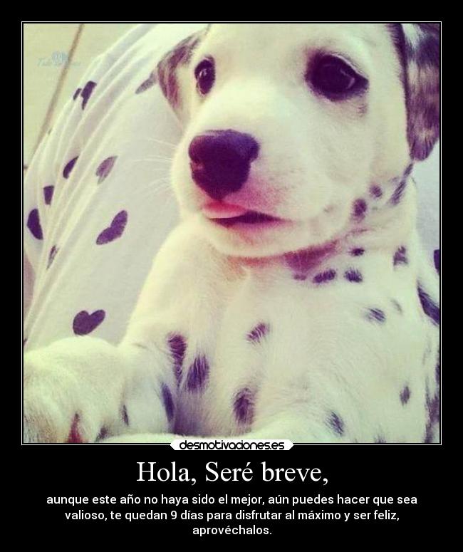 Hola, Seré breve, - aunque este año no haya sido el mejor, aún puedes hacer que sea
valioso, te quedan 9 días para disfrutar al máximo y ser feliz,
aprovéchalos.