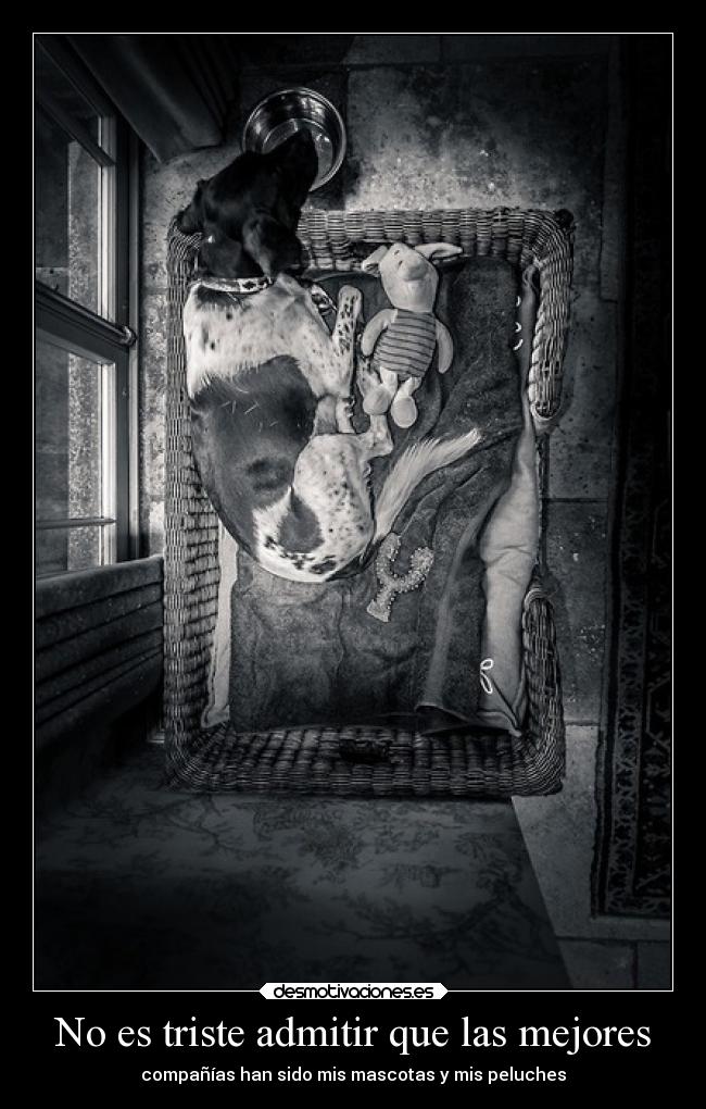 carteles deseos realmente sido calidez una buena platica pero niego anterior desmotivaciones