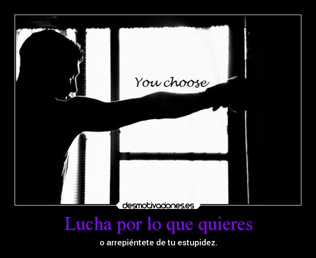 Lucha por lo que quieres -