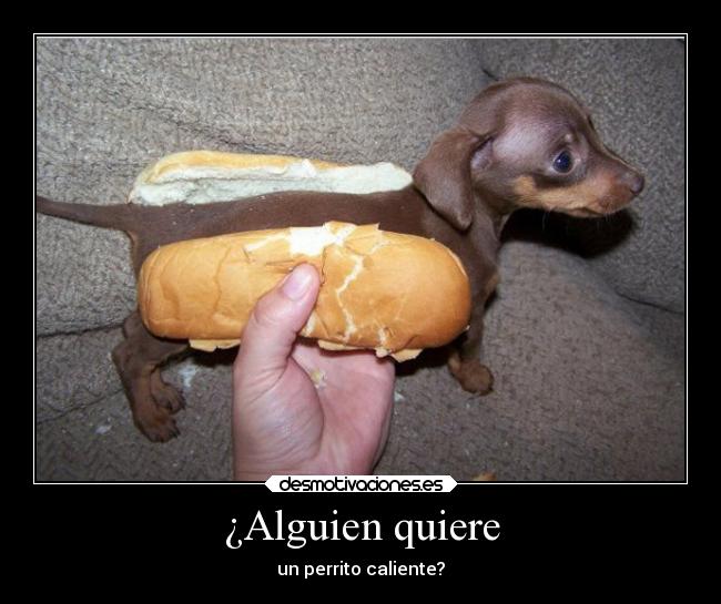 ¿Alguien quiere - 