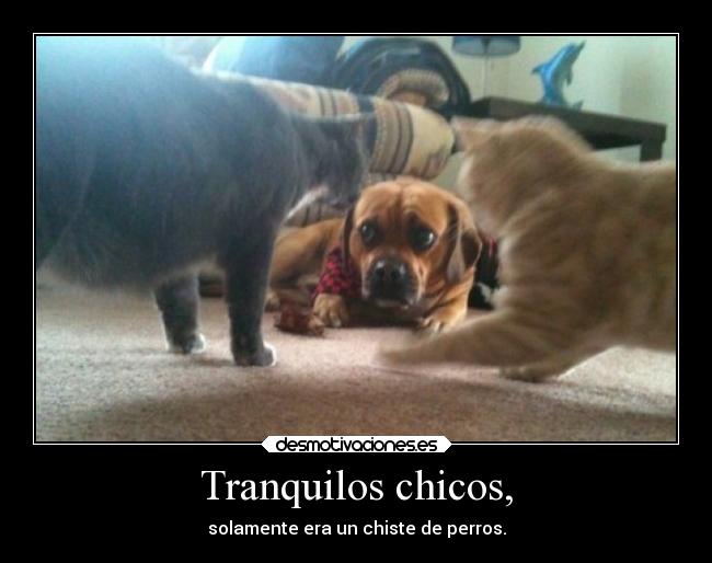 Tranquilos chicos, -