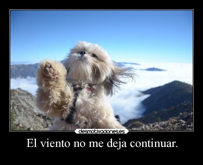 carteles desmotivaciones aiii papa perro viento esas cosas desmotivaciones