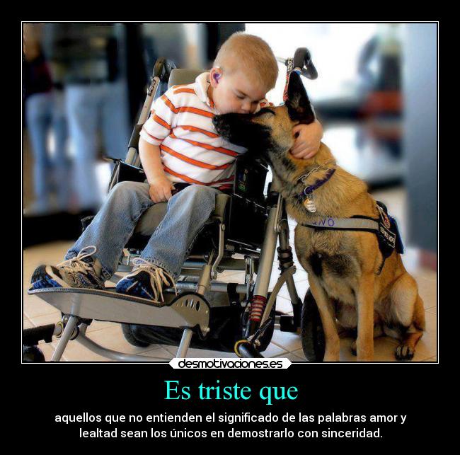 Es triste que - 