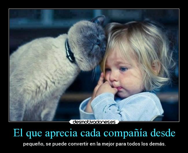 El que aprecia cada compañía desde - 