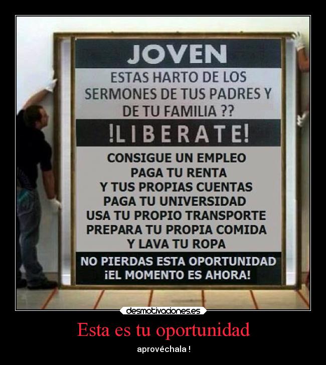 Esta es tu oportunidad - aprovéchala !