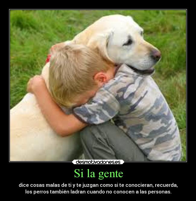 Si la gente - dice cosas malas de ti y te juzgan como si te conocieran, recuerda,
los perros también ladran cuando no conocen a las personas.