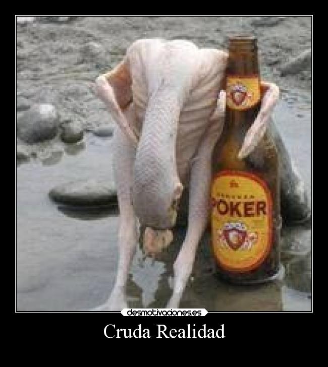 Cruda Realidad - 