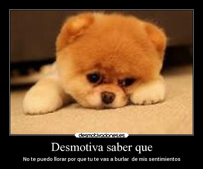 Desmotiva saber que - No te puedo llorar por que tu te vas a burlar de mis sentimientos
