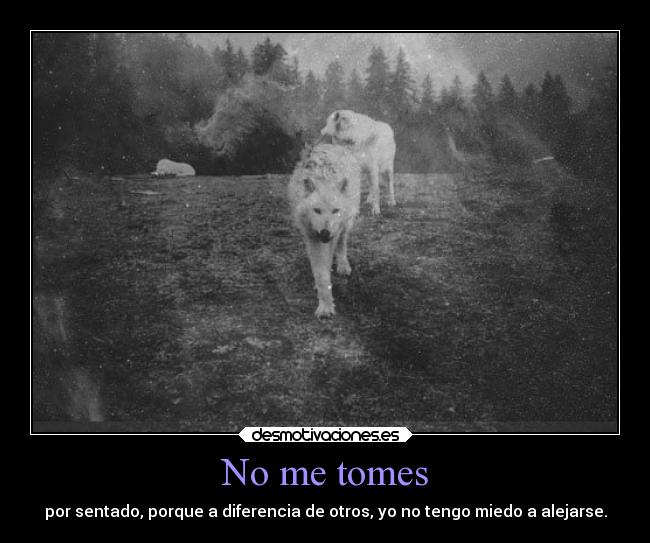No me tomes - por sentado, porque a diferencia de otros, yo no tengo miedo a alejarse.