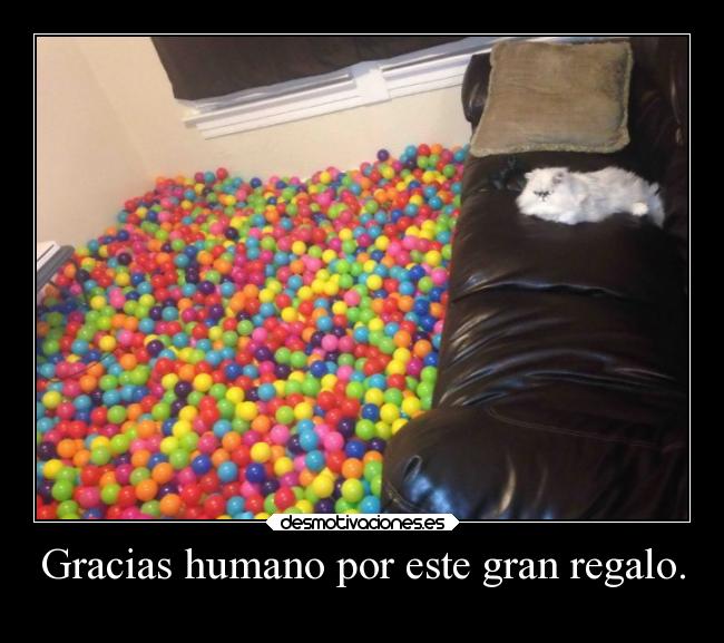 Gracias humano por este gran regalo. - 