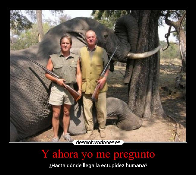 carteles desmotivaciones desmotivaciones