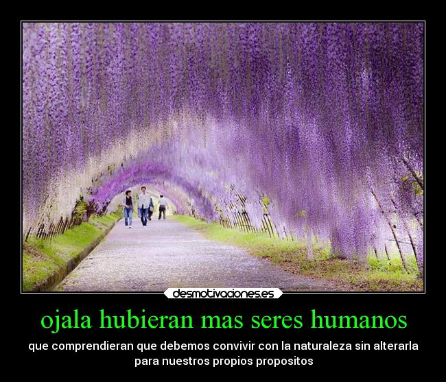 ojala hubieran mas seres humanos -