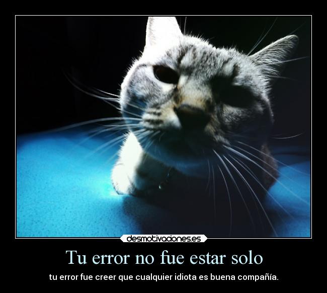 Tu error no fue estar solo - tu error fue creer que cualquier idiota es buena compañía.