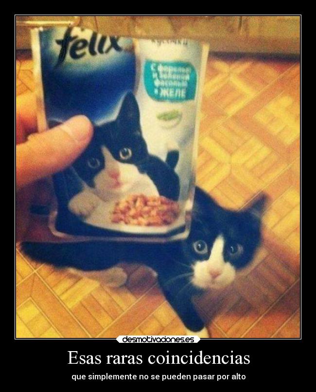 Esas raras coincidencias - 
