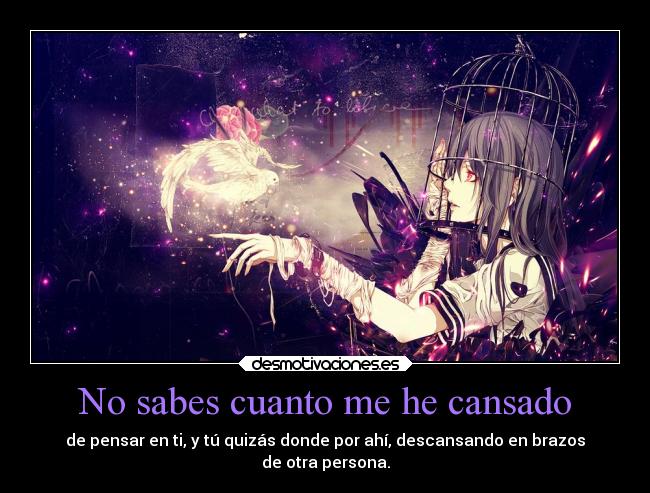 No sabes cuanto me he cansado - 