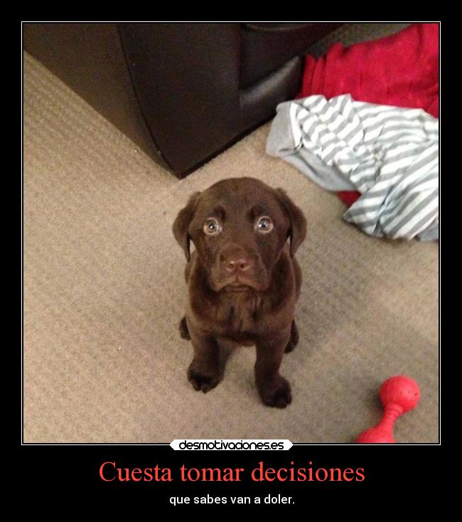 Cuesta tomar decisiones - 
