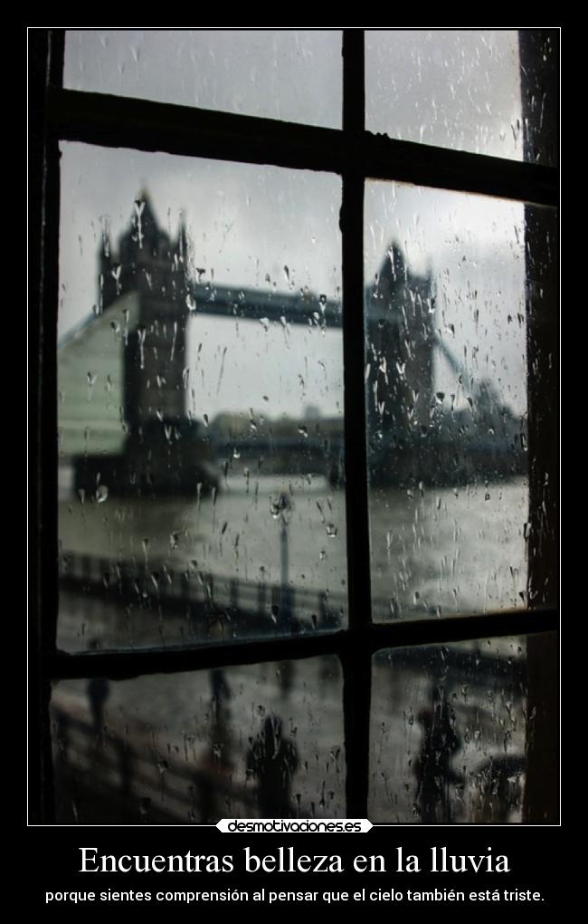 Encuentras belleza en la lluvia - 