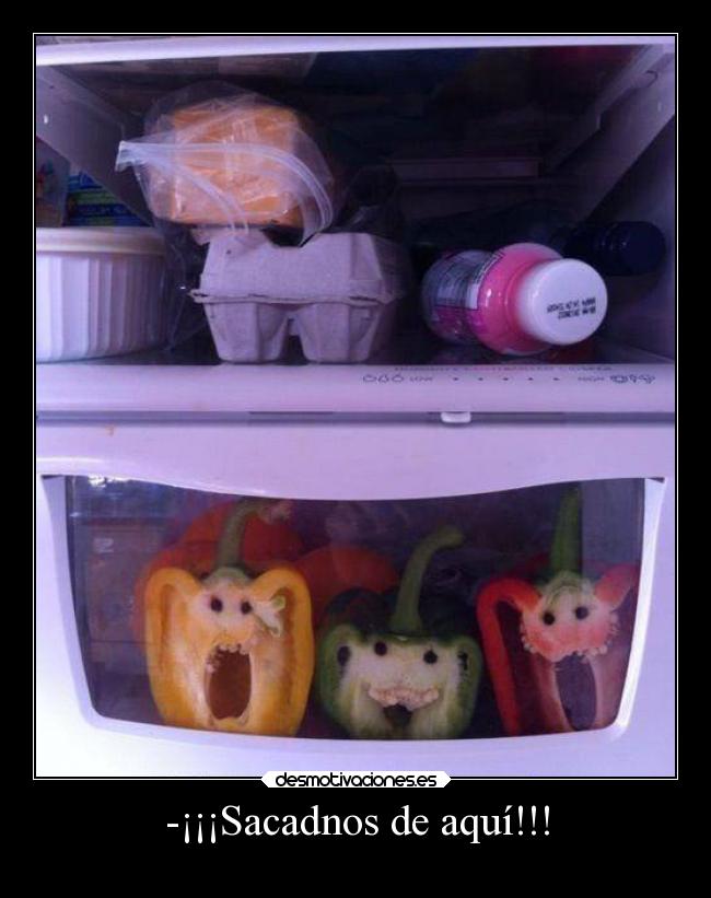 -¡¡¡Sacadnos de aquí!!! - 