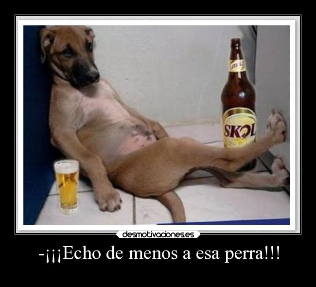 carteles desmotivaciones wisdom atojsoacillobsknaht breathe breathebreathebreathebreathebreathebreathe desmotivaciones