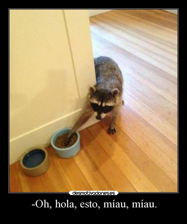 -Oh, hola, esto, míau, míau. -