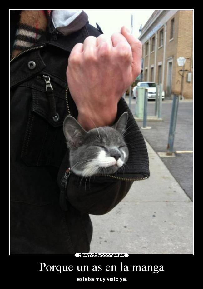 Porque un as en la manga - 