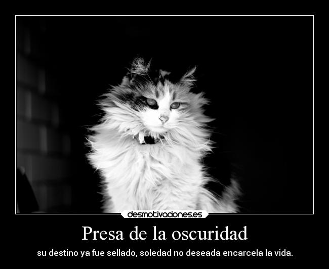 Presa de la oscuridad - su destino ya fue sellado, soledad no deseada encarcela la vida.