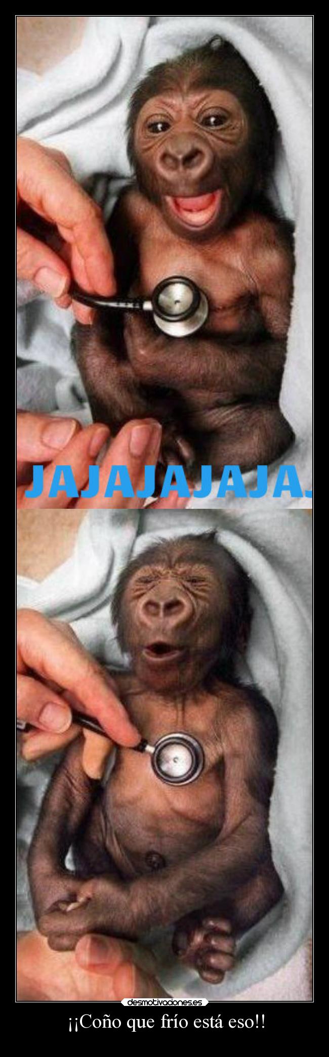 ¡¡Coño que frío está eso!! - 