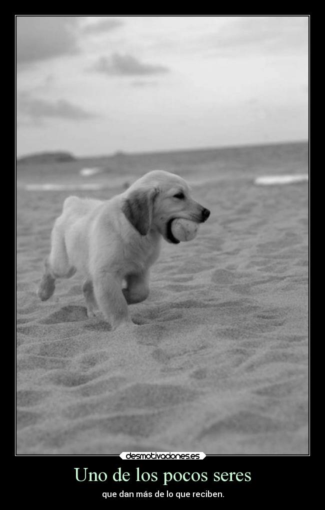 Uno de los pocos seres - 