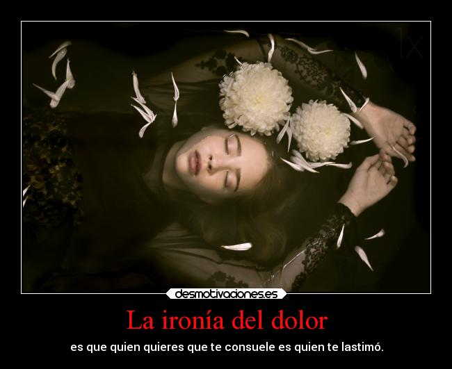 carteles dolor ayuda mieldalaabeja hijosdelagranprogenitora desmotivaciones