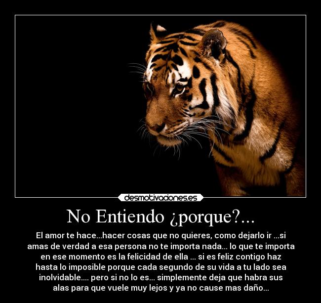 No Entiendo ¿porque?... -