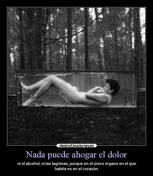 Nada puede ahogar el dolor - ni el alcohol, ni las lagrimas, porque en el único órgano en el que
habita es en el corazón.