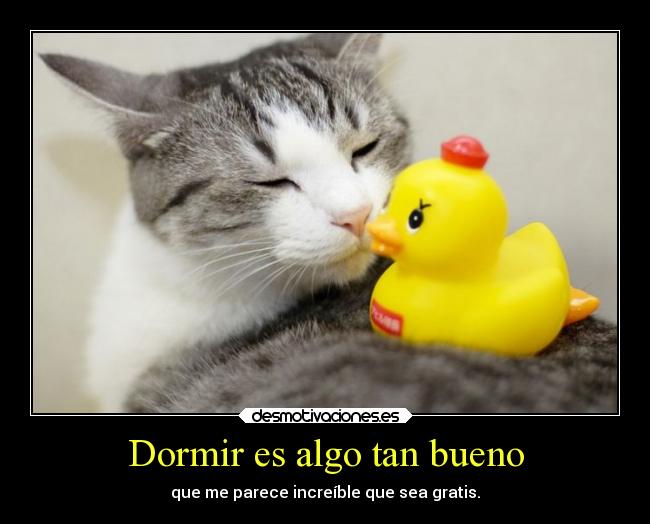 carteles dormir dinero todo bueno vale desmotivaciones