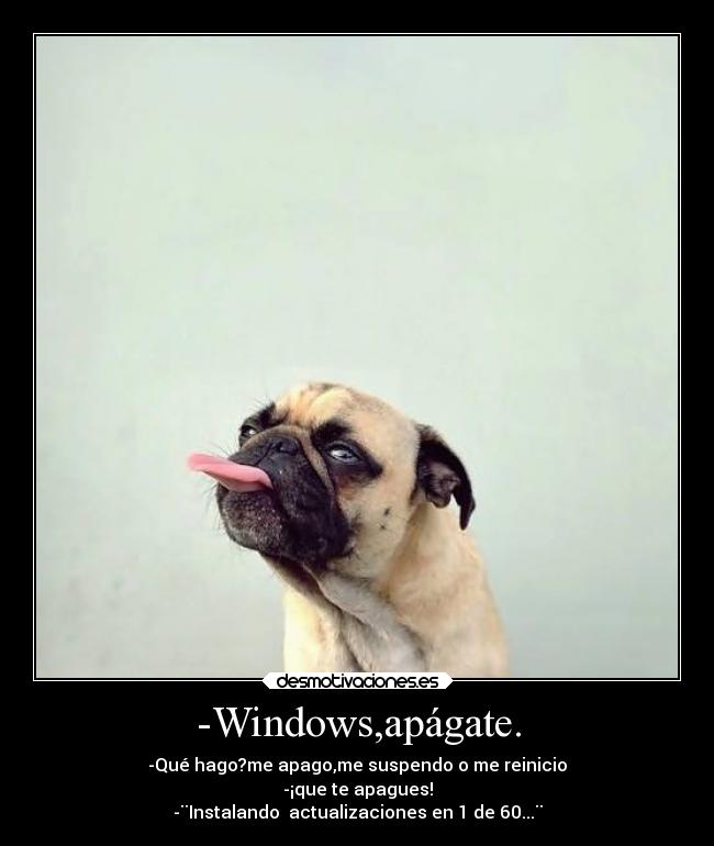 -Windows,apágate. - -Qué hago?me apago,me suspendo o me reinicio
-¡que te apagues!
-¨Instalando actualizaciones en 1 de 60...¨