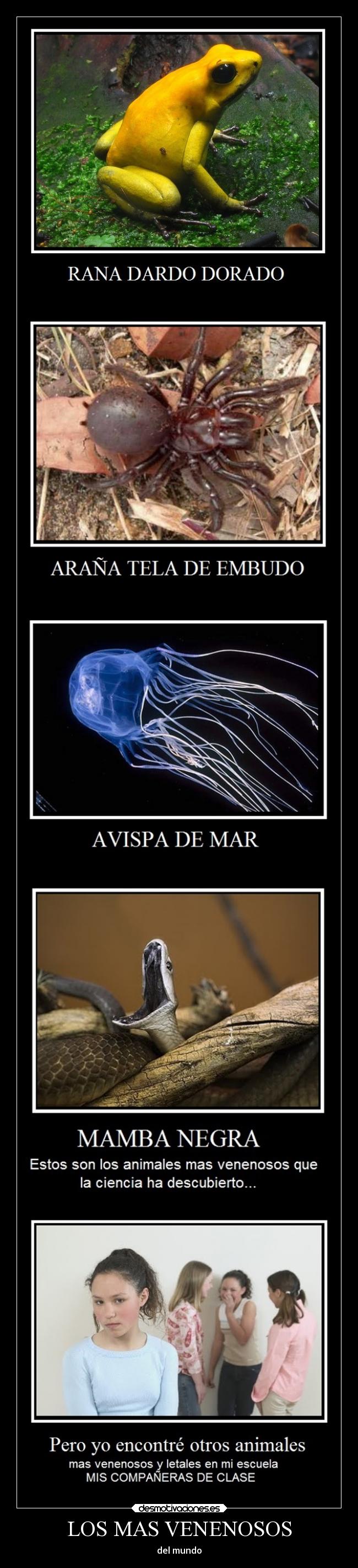 LOS MAS VENENOSOS - del mundo