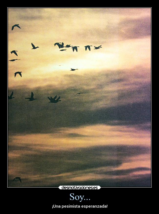 Soy... - ¡Una pesimista esperanzada!