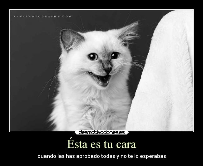 Ésta es tu cara - cuando las has aprobado todas y no te lo esperabas