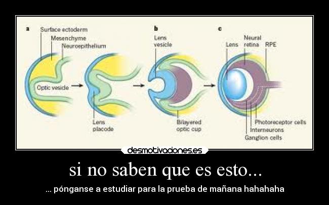 si no saben que es esto... - 