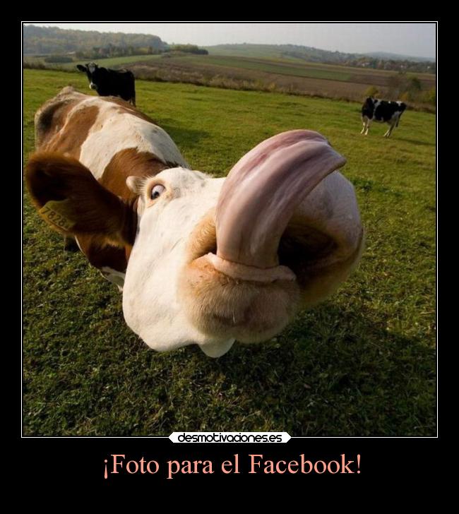 ¡Foto para el Facebook! -