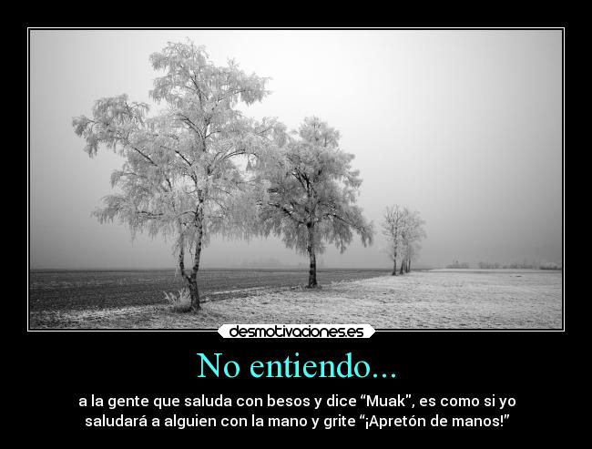 No entiendo... -