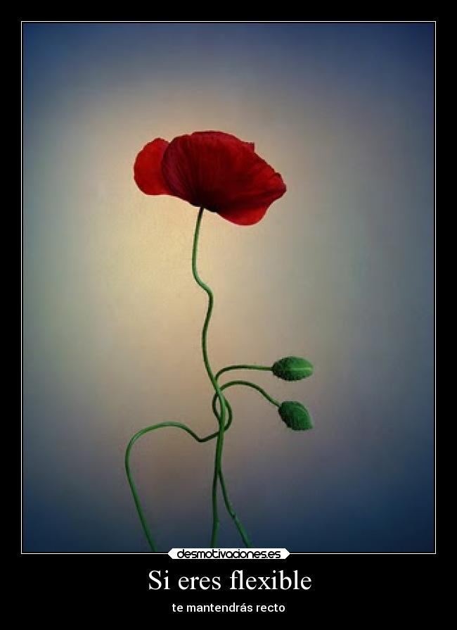 Si eres flexible - te mantendrás recto