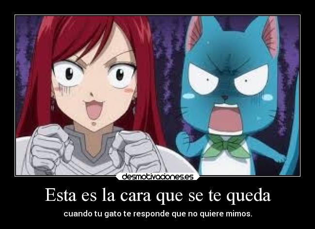 carteles gatosanime fairy tail desmotivaciones