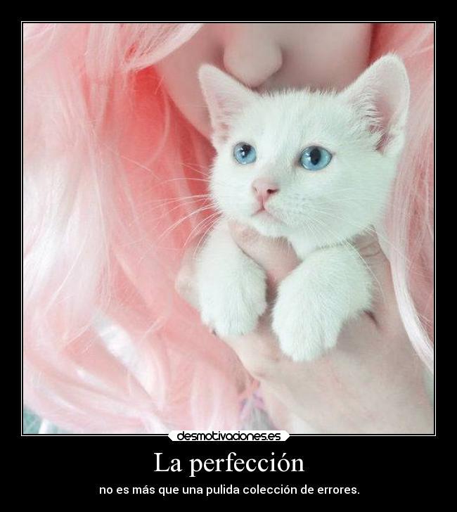 La perfección - no es más que una pulida colección de errores.