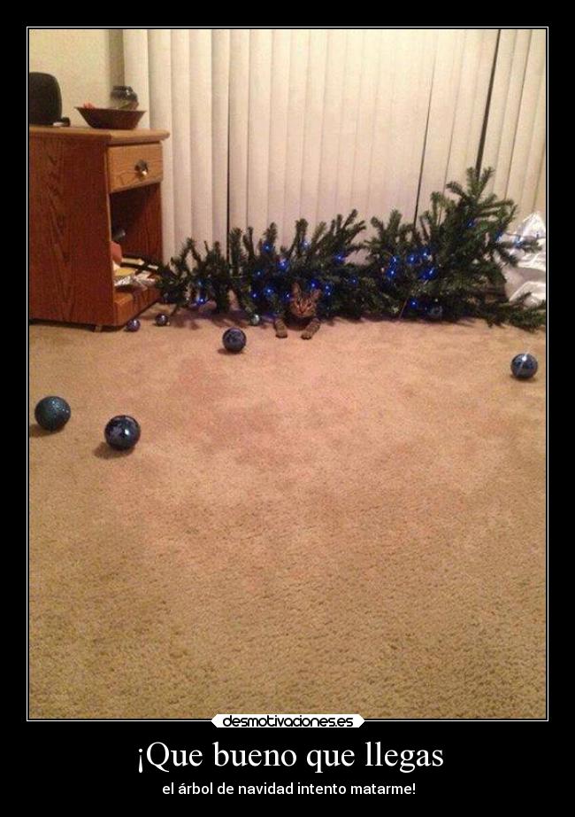 ¡Que bueno que llegas -